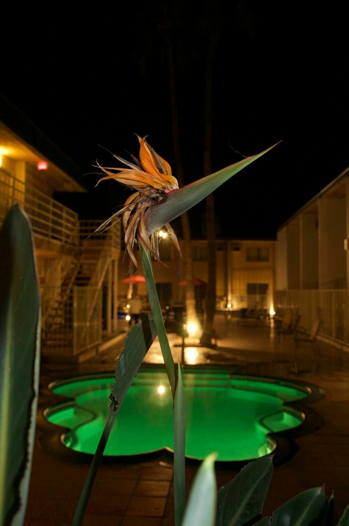 Delos Reyes Palm Springs Luaran gambar